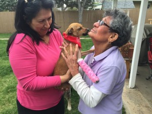 Pet Care